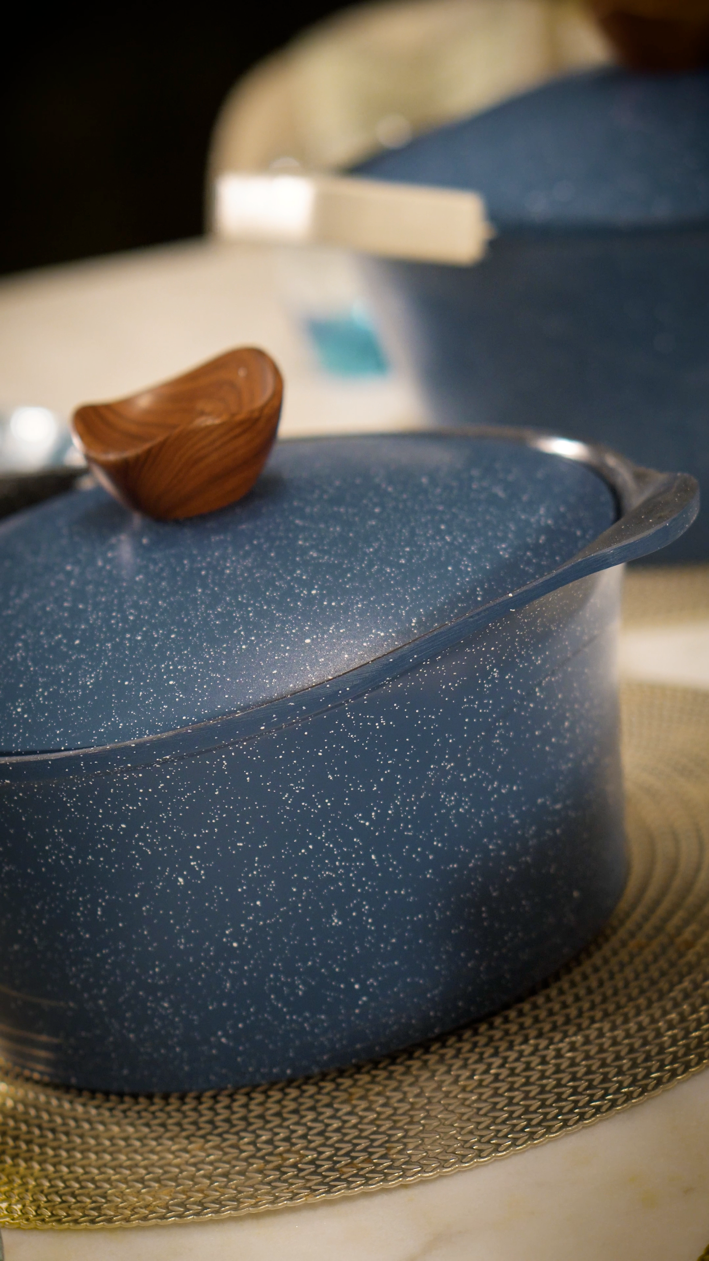 Pot Cookware Premium